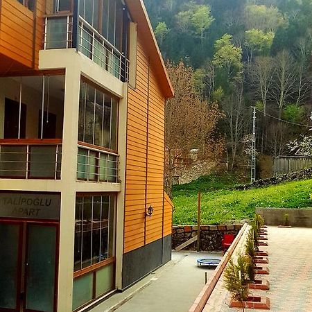 Talipoglu Apart Aparthotel Uzungöl Esterno foto