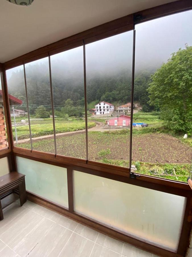 Talipoglu Apart Aparthotel Uzungöl Esterno foto
