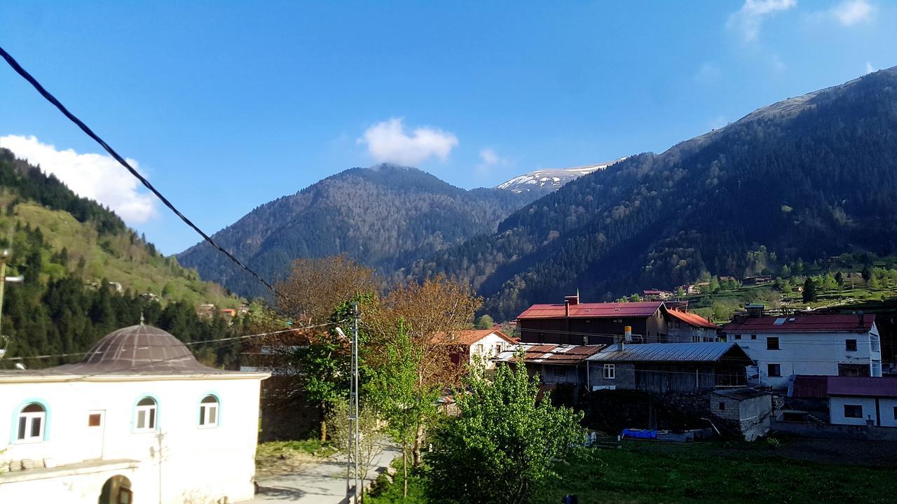 Talipoglu Apart Aparthotel Uzungöl Esterno foto