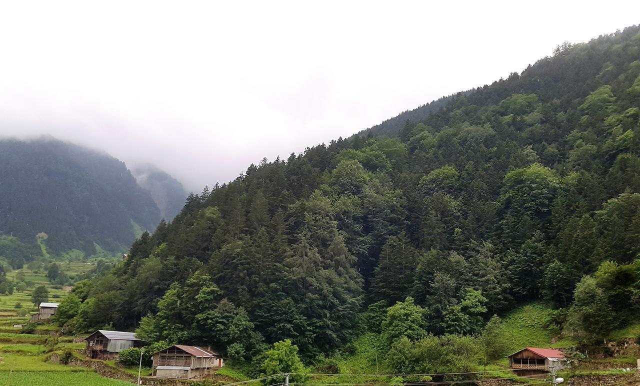 Talipoglu Apart Aparthotel Uzungöl Esterno foto