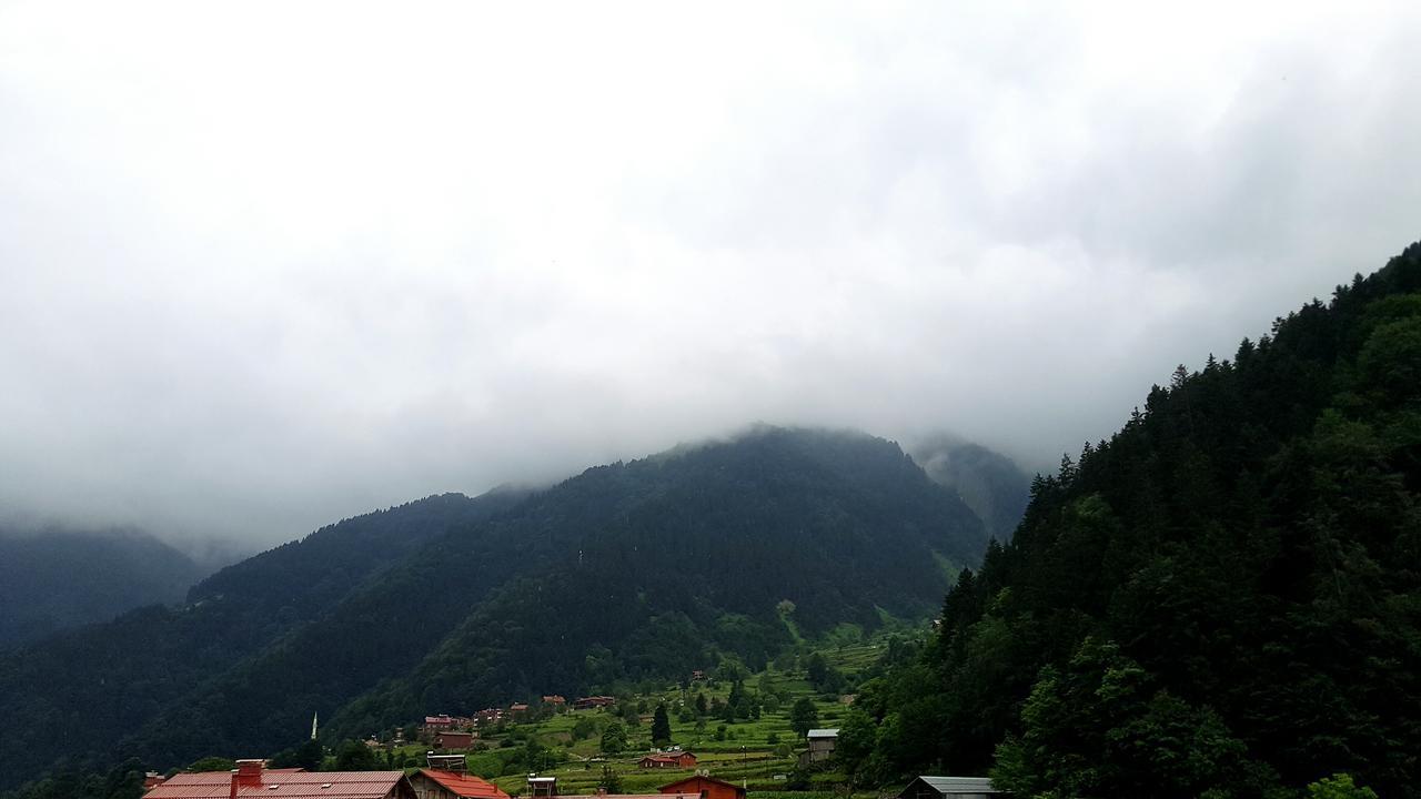Talipoglu Apart Aparthotel Uzungöl Esterno foto